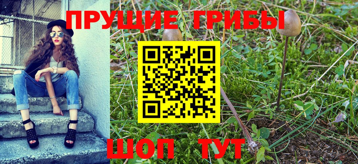 Ипатово  Псилоцибиновые грибы GOLDEN TEACHER  Псилоцибиновые грибы мухоморы  купить   Вход с VPN 