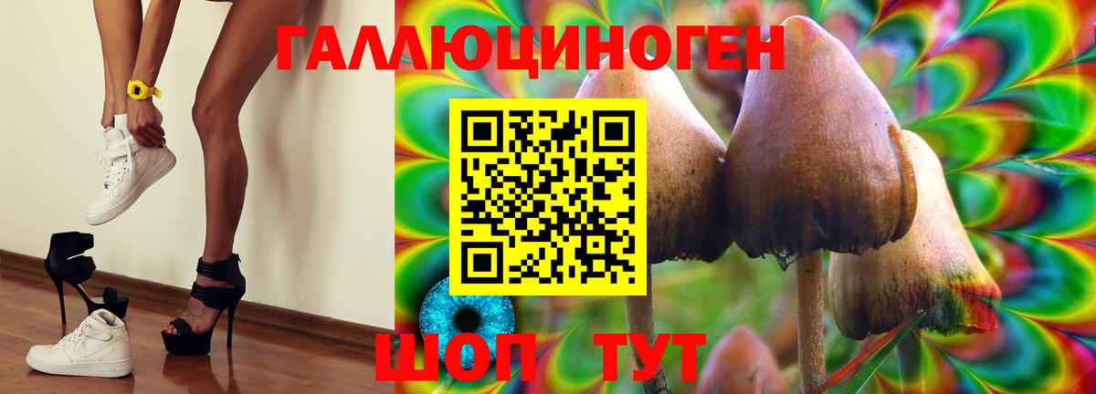 Псилоцибиновые грибы Psilocybe Ипатово